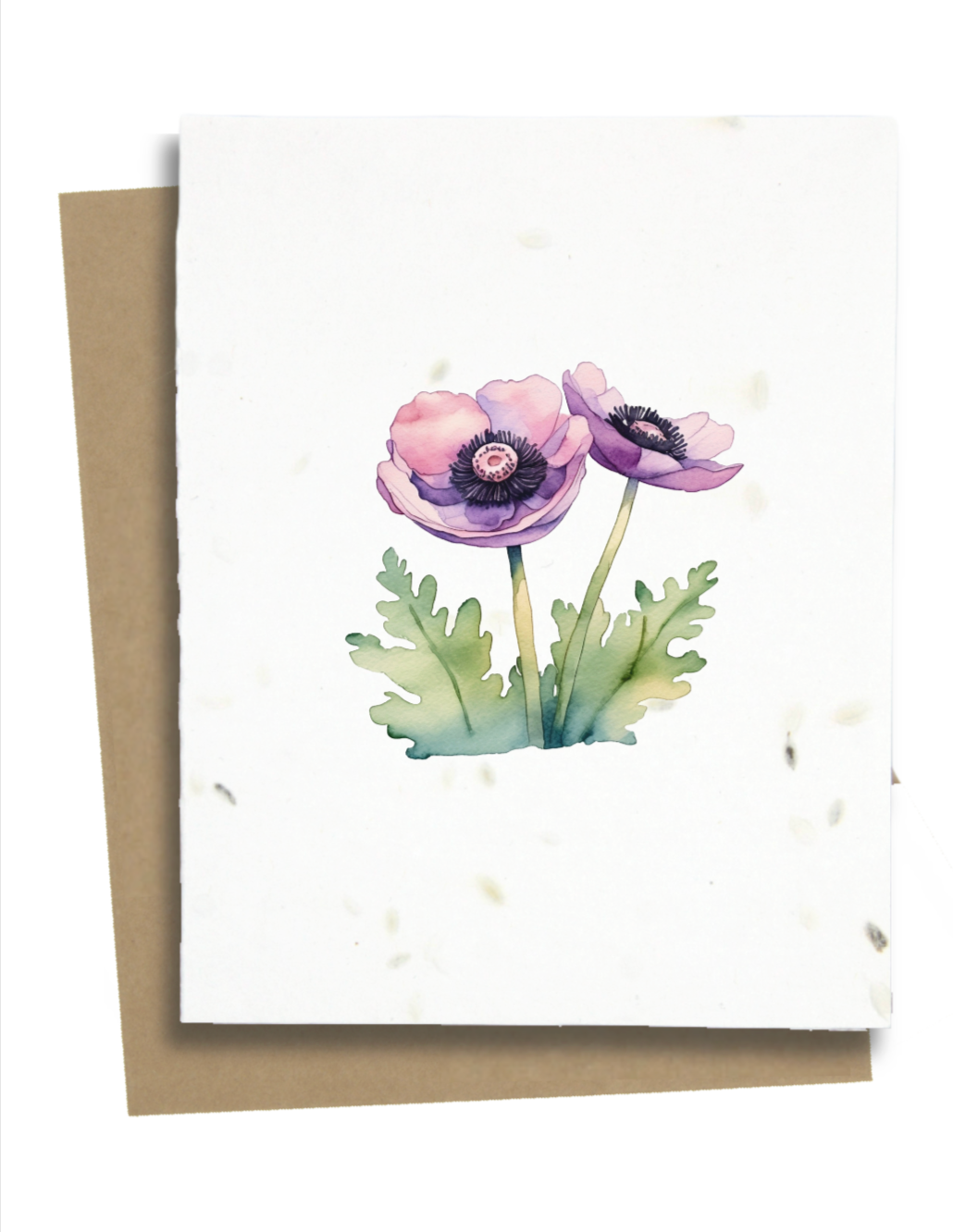 Plantable Greeting Cards - BC