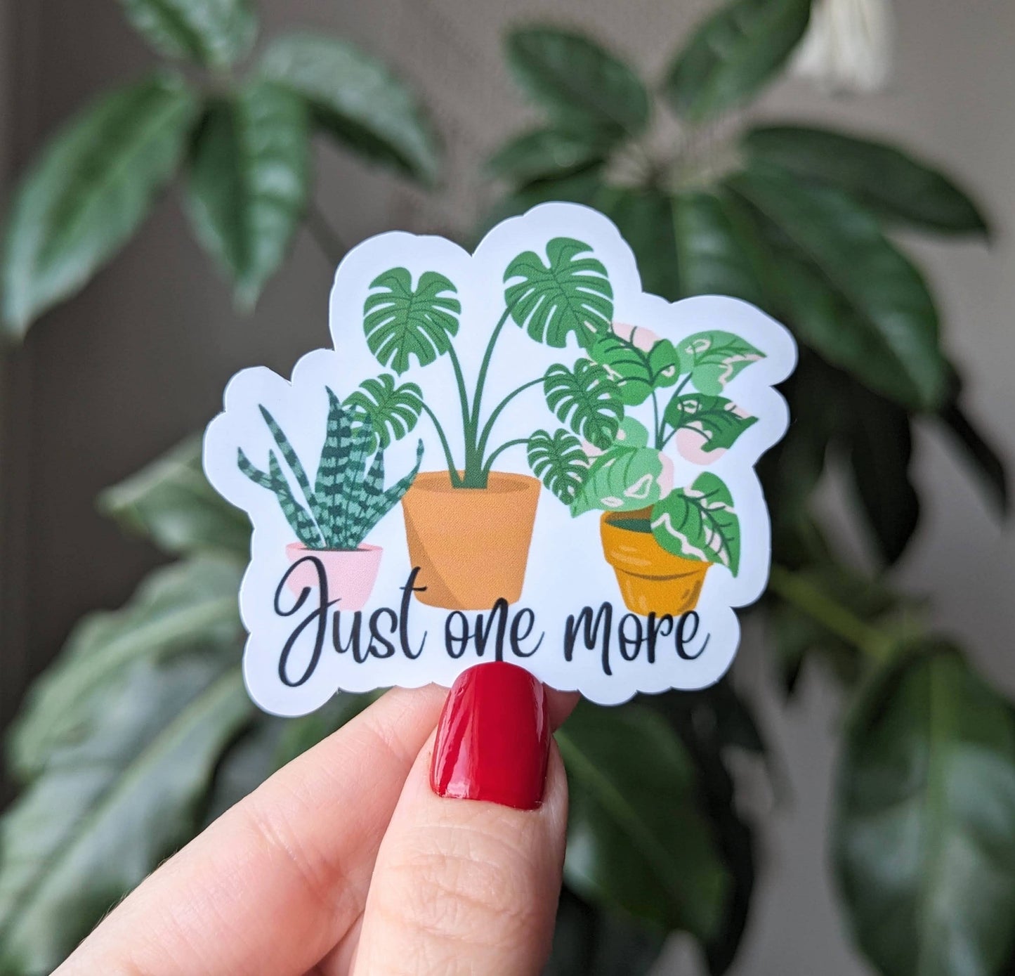 Vinyl Stickers - NB