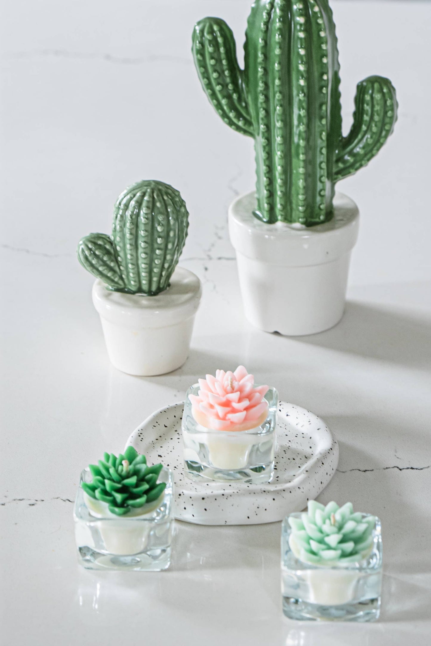Tealight Candles - Bear Paw Succulent