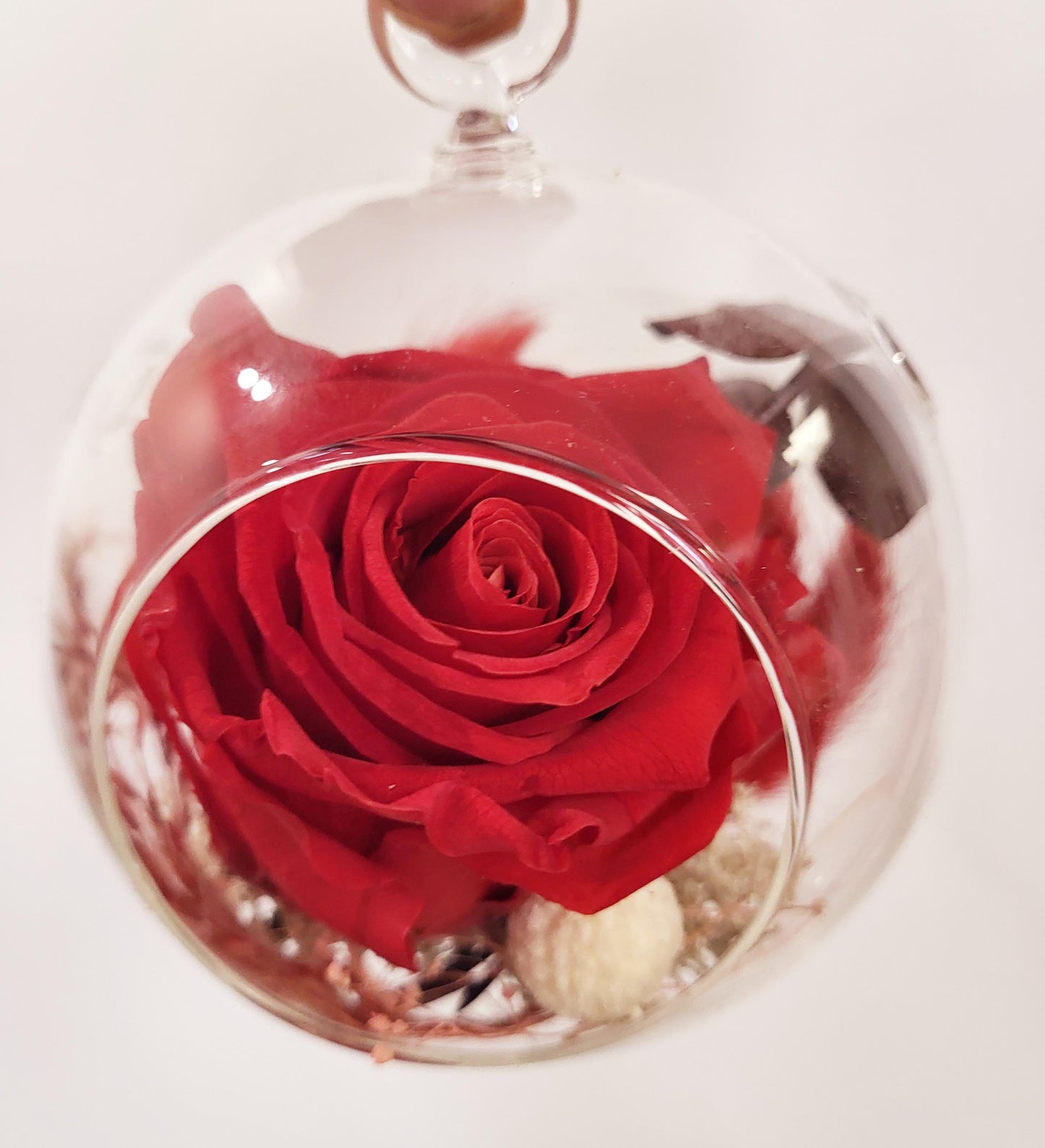4" Preserved Rose Sphere - Red (RS4.RD2)