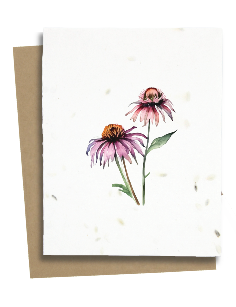 Plantable Greeting Cards - BC