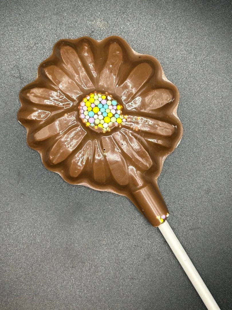 Daisy Chocolate Lolly - ON