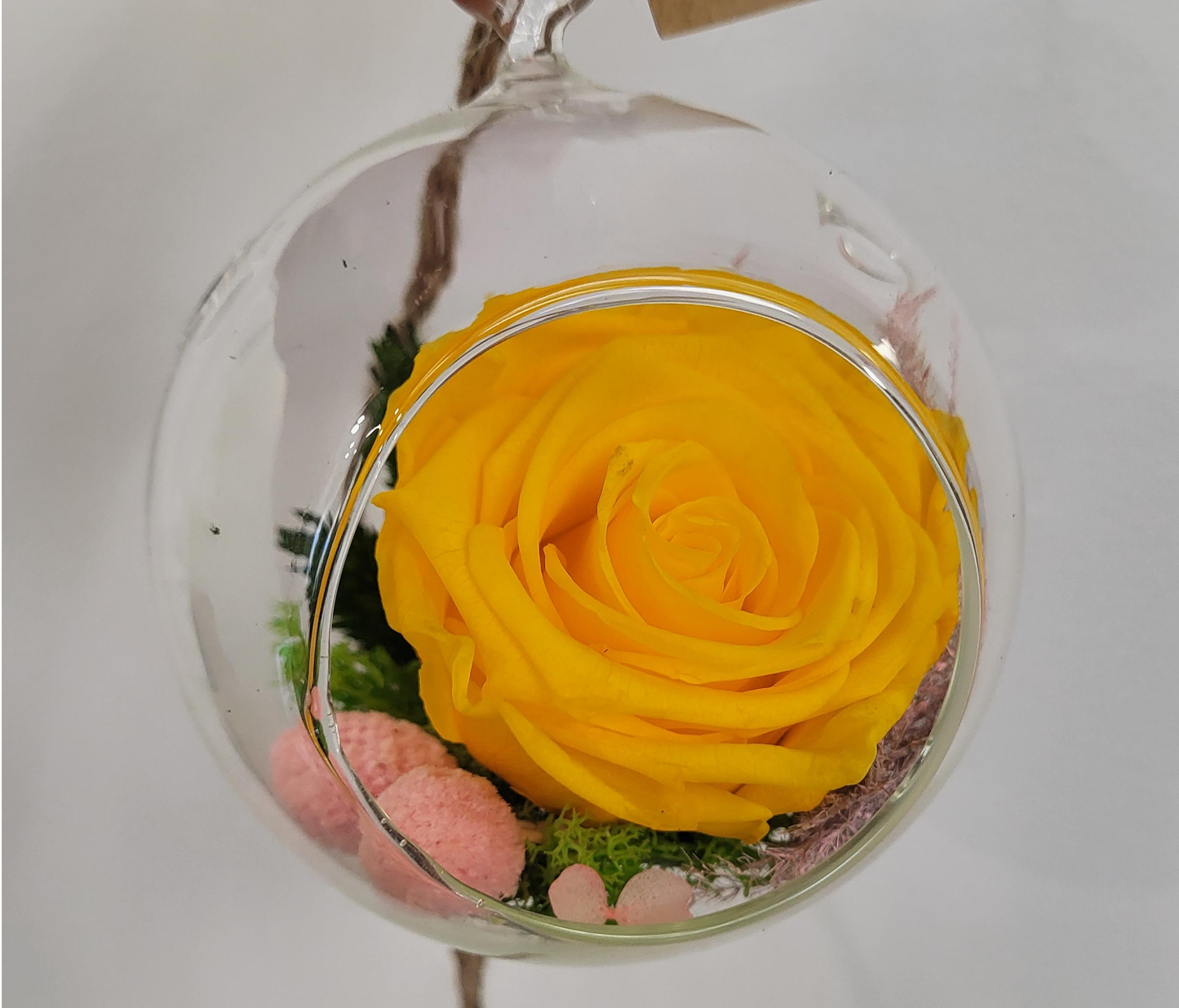 4" Preserved Rose Sphere - Yellow (RS4.YE1)