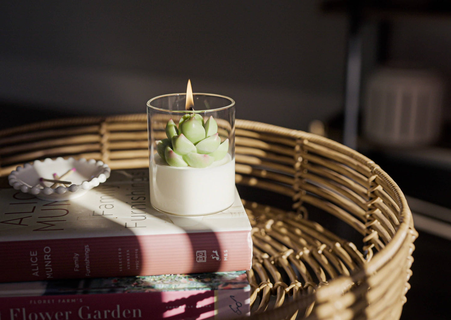 Soy Blend Candle - Succulent