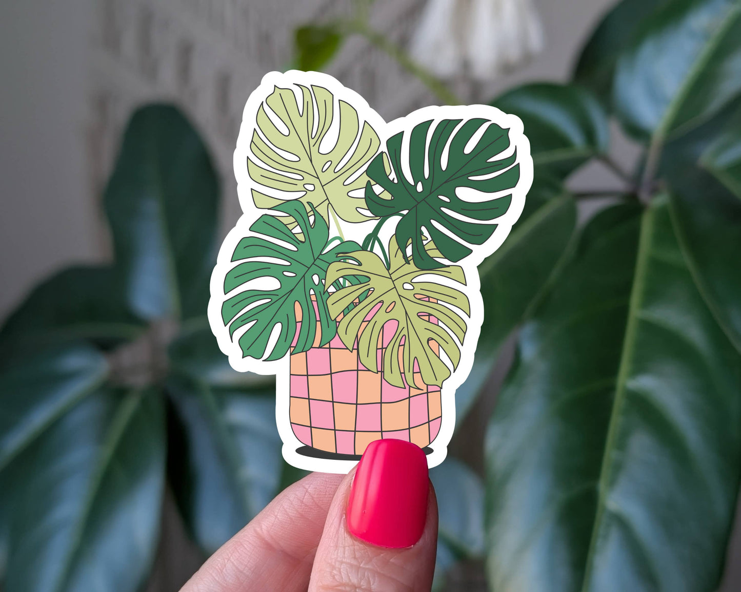 Vinyl Stickers - NB