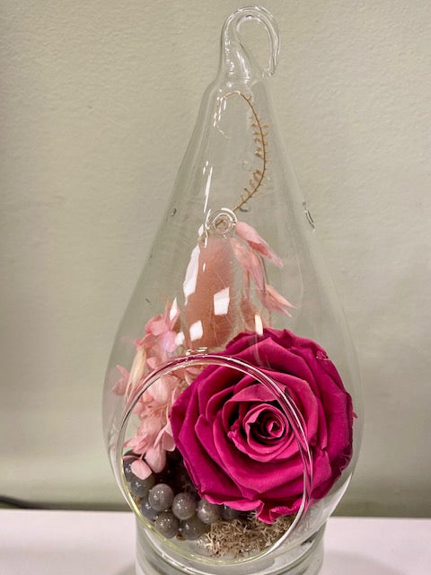 Preserved rose in an egg vessel. "Abracadabra."