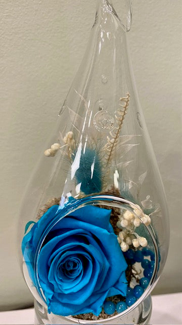 Preserved rose in tear. "Blue Clarity."