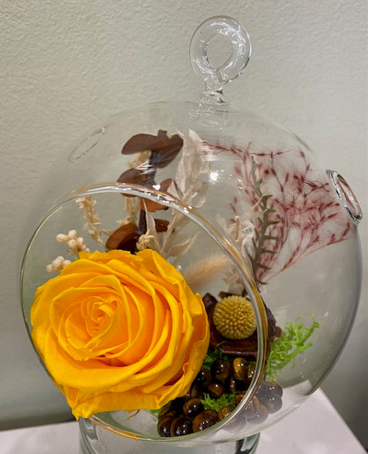 Preserved Rose in Glass Sphere. "Eye of the Tiger."