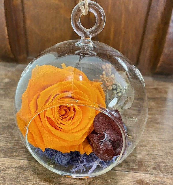 Preserved Orange Rose in Glass Sphere- Fall O1