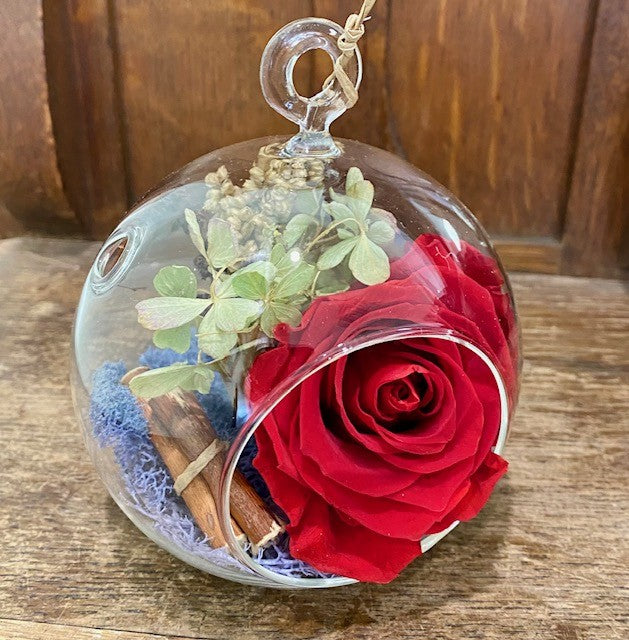 Preserved Red Rose in Glass Sphere. Fall R@