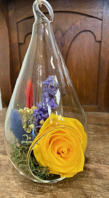 6" Preserved Rose Tear Yellow. Fall Y3