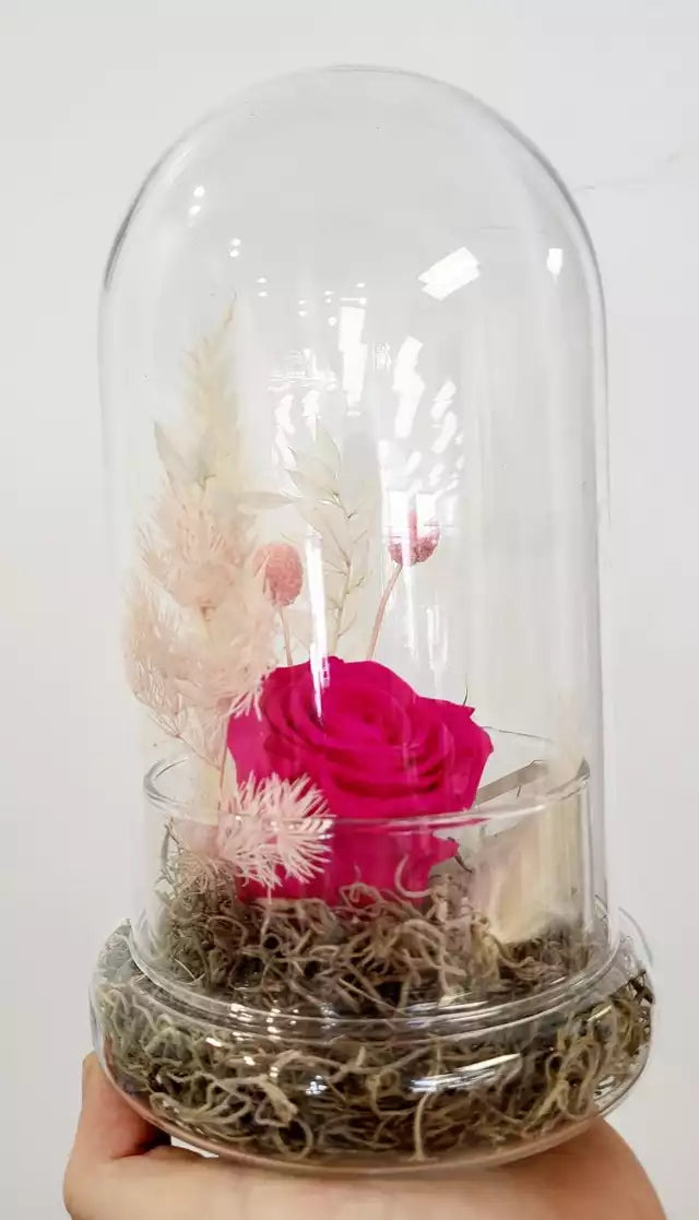 Preserved Rose in Cloche - Pink w/ Quartz (RC.PQ1)