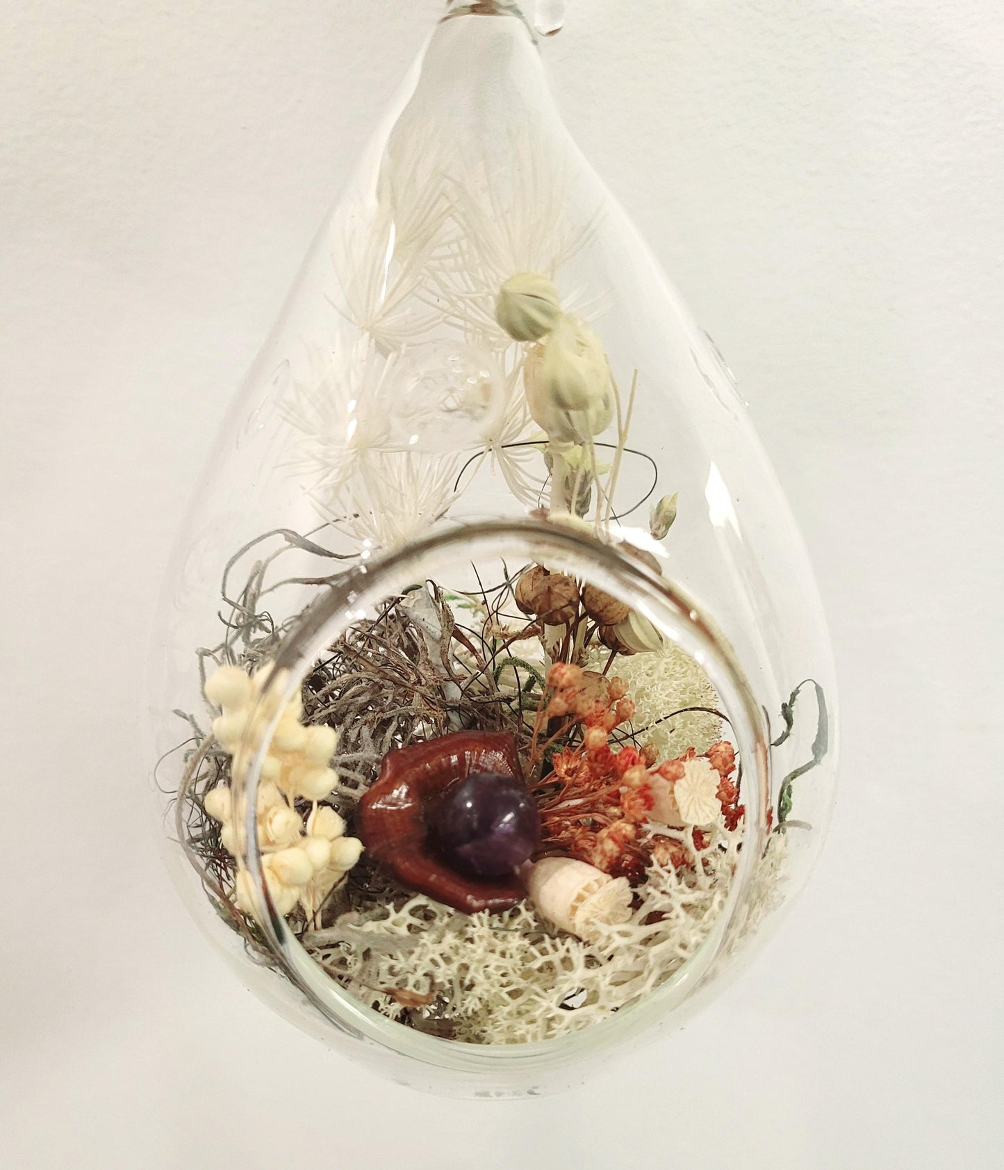 4" Dried Botanicals Tear (DT4.1)