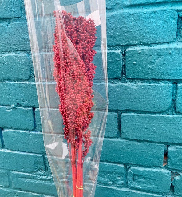 Bunches of Red Milo Berries