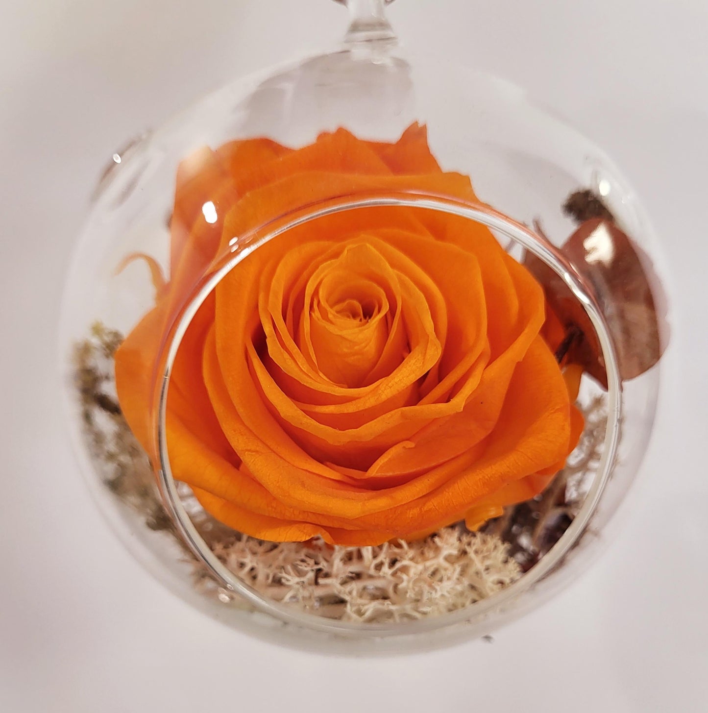 4" Preserved Rose Sphere - Orange (RS4.O1)