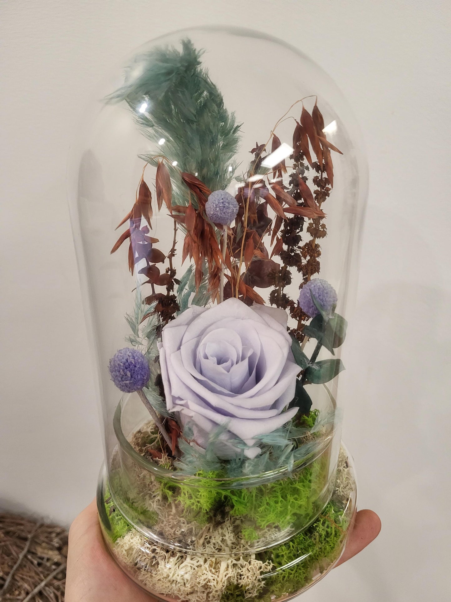 Preserved Rose in Cloche - Pale Lilac (RC.L1)