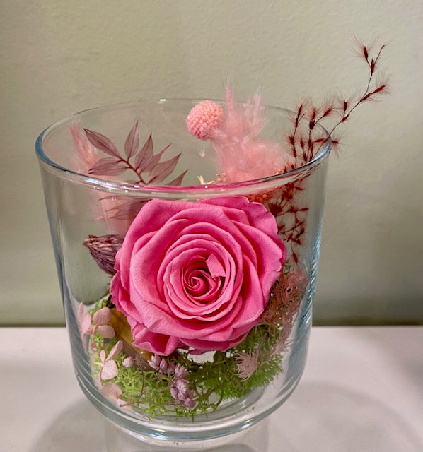 Preserved rose in a cylinder vessel. "Ooh La La!"