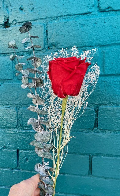 Preserved Long Stem Rose with Dried Botanicals-Red or Pink Available