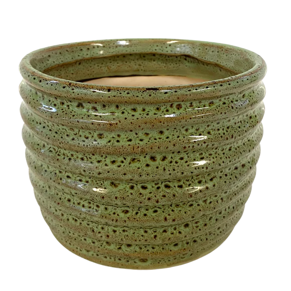 Medium Ribbed Spotted Green Pot