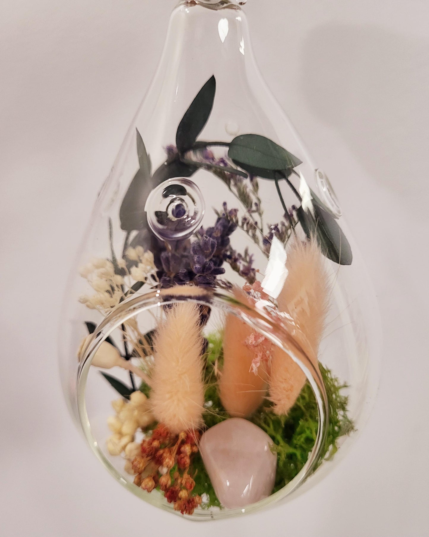 4" Dried Botanical Tear (DT4.2)