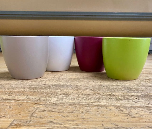 Scheurich 3.5" Pots-Assorted colours