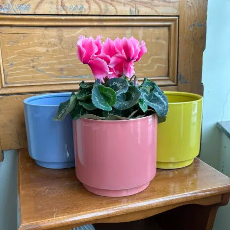 Shiny Yellow Ceramic Pot - Assorted Sizes