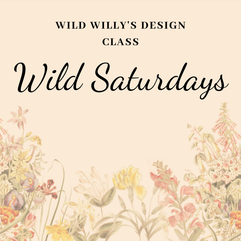 Wild Saturdays 9 am Design Classes: January 13,20,27