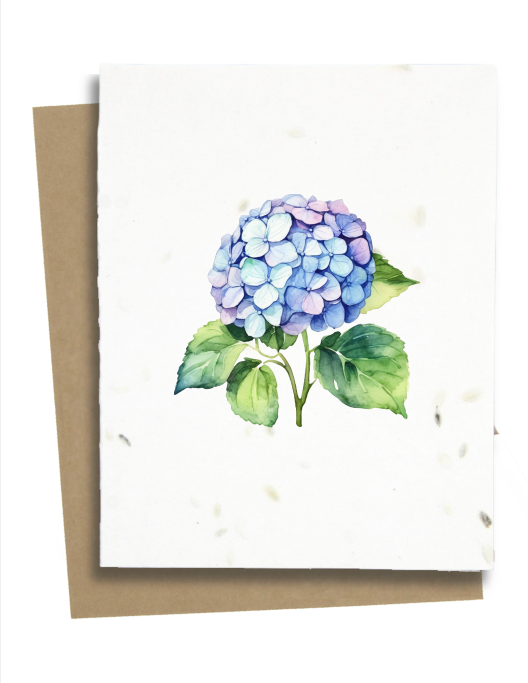 Plantable Greeting Cards - BC