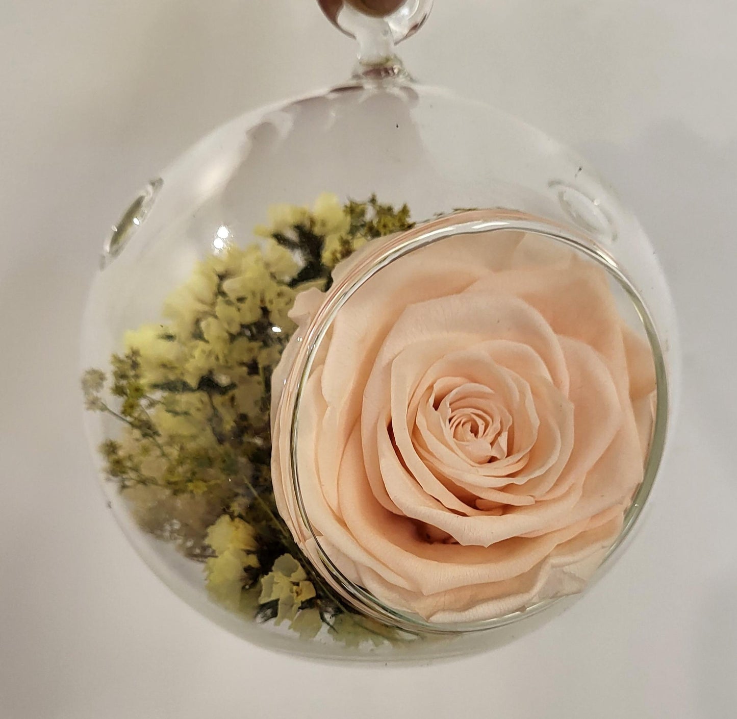 4" Preserved Rose Sphere - Pastel Peach