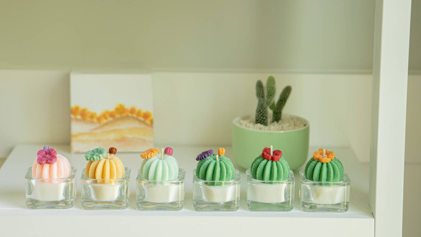 Tealight Candles - Barrel Cactus