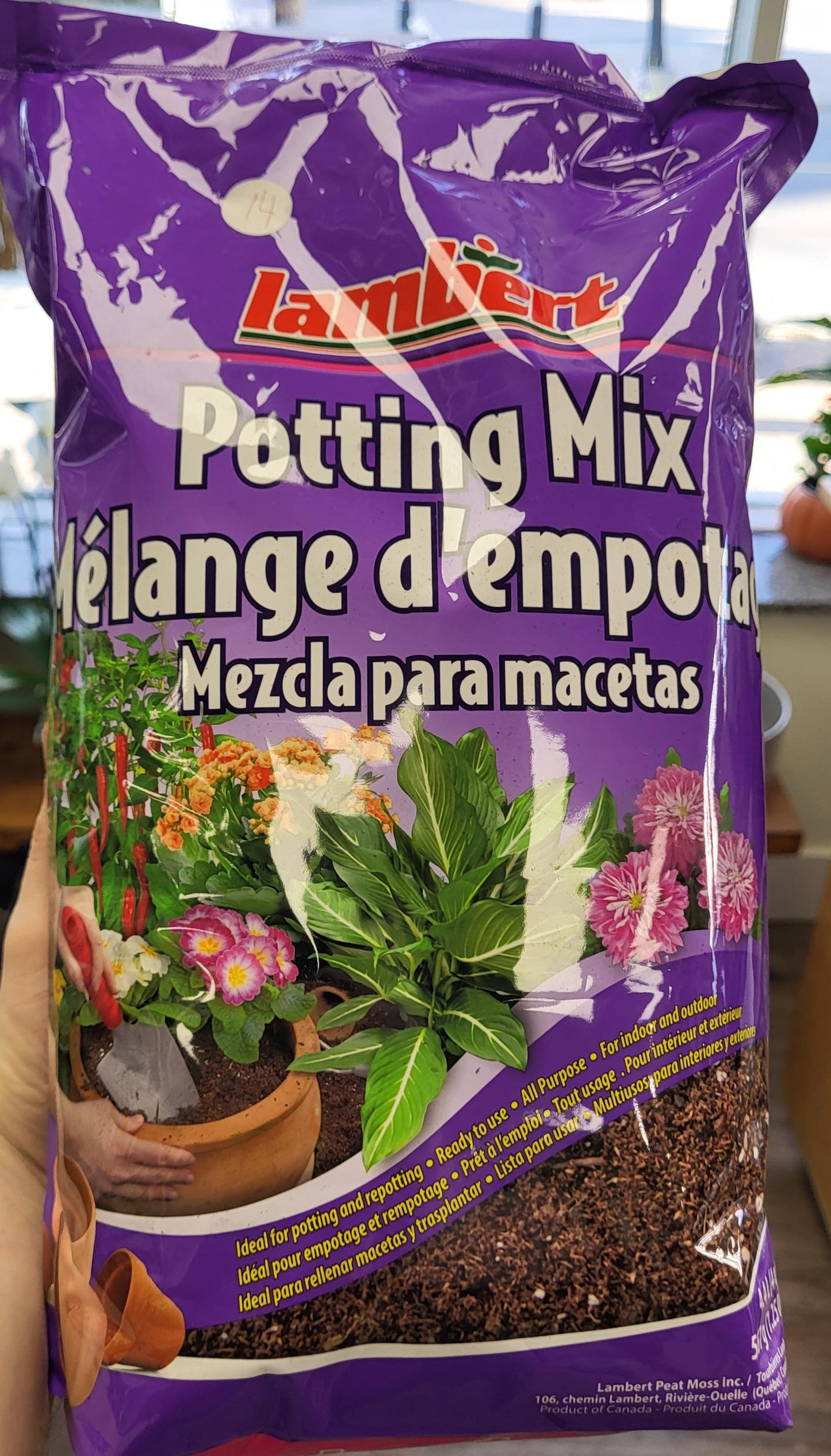 Potting Mix Indoor- Lambert