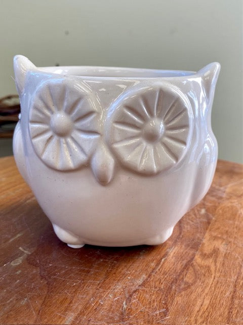 3.5" White Owl Ceramic Pot