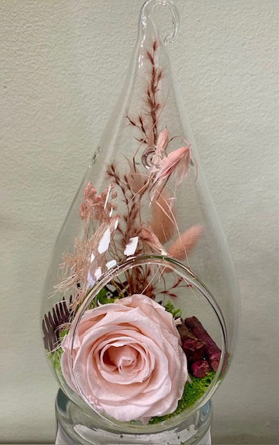 Preserved rose in tear. "Pretty Porcelain."