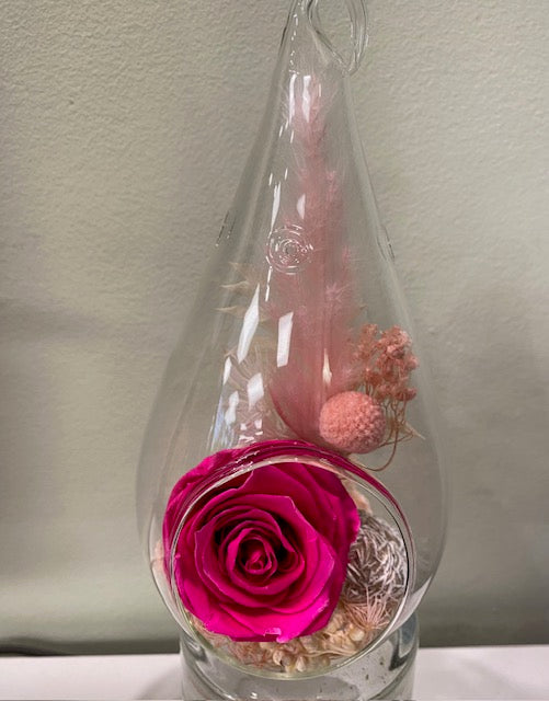 Preserved Rose Tear. "Fuchsia Desert Rose."