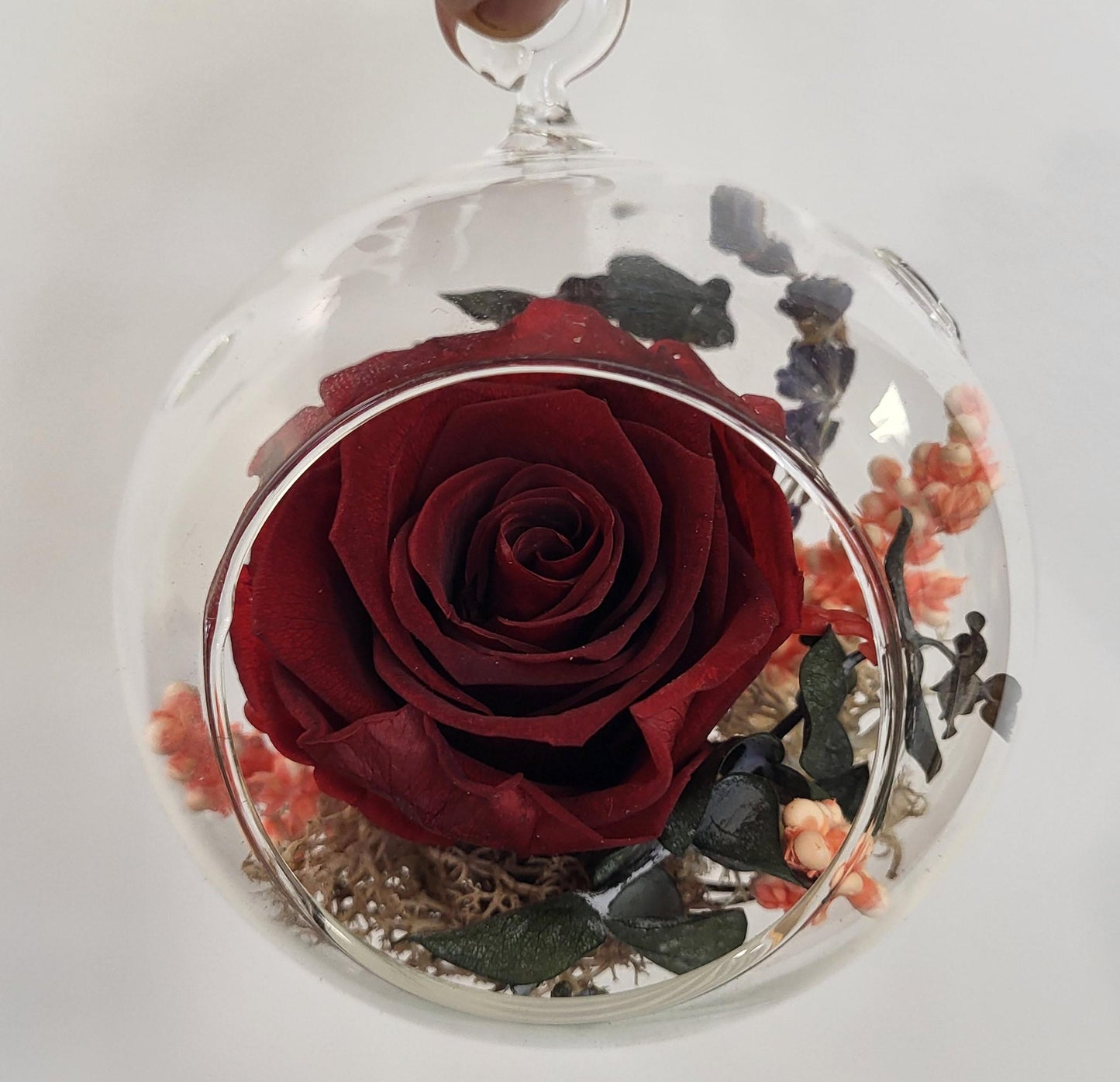 4" Preserved Rose Sphere - Red (RS4.BG1)