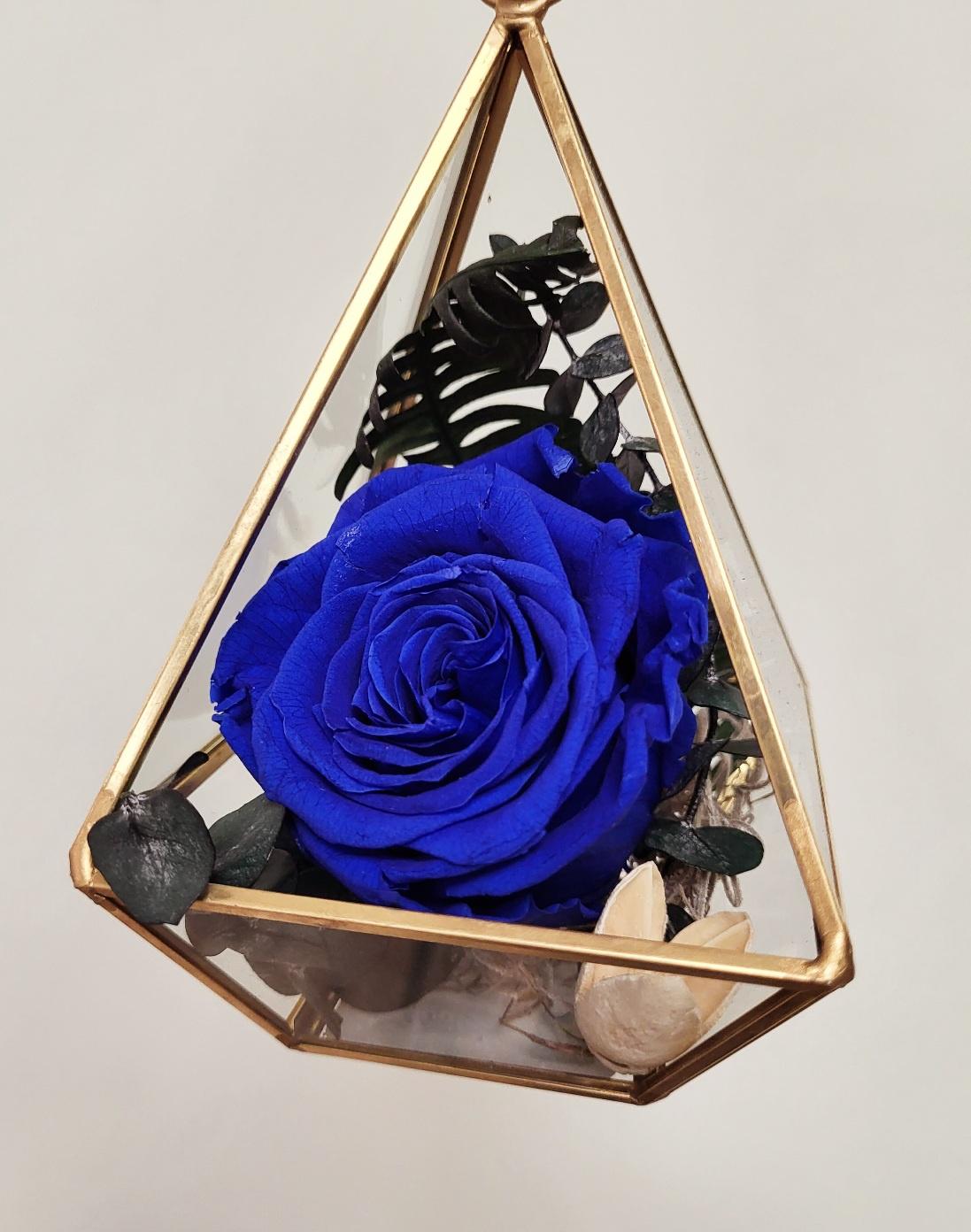 Preserved Rose in Prism