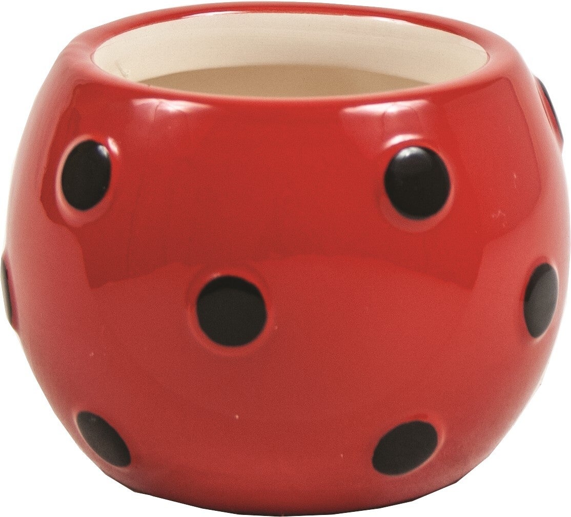 3.5" Lady Bug Pot (CE85LBUG)