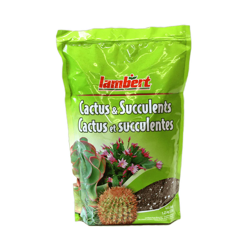 Succulent & Cactus Potting Soil (4.4L)