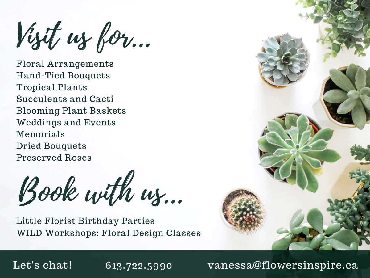 Wild Willy’s Plants & Flowers Gift Card