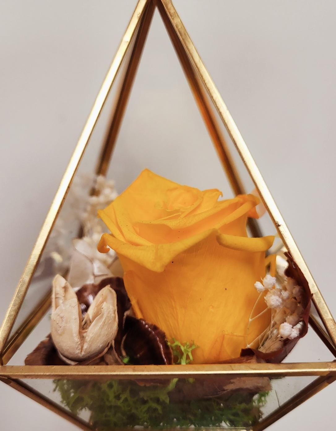 Preserved Rose in Prism