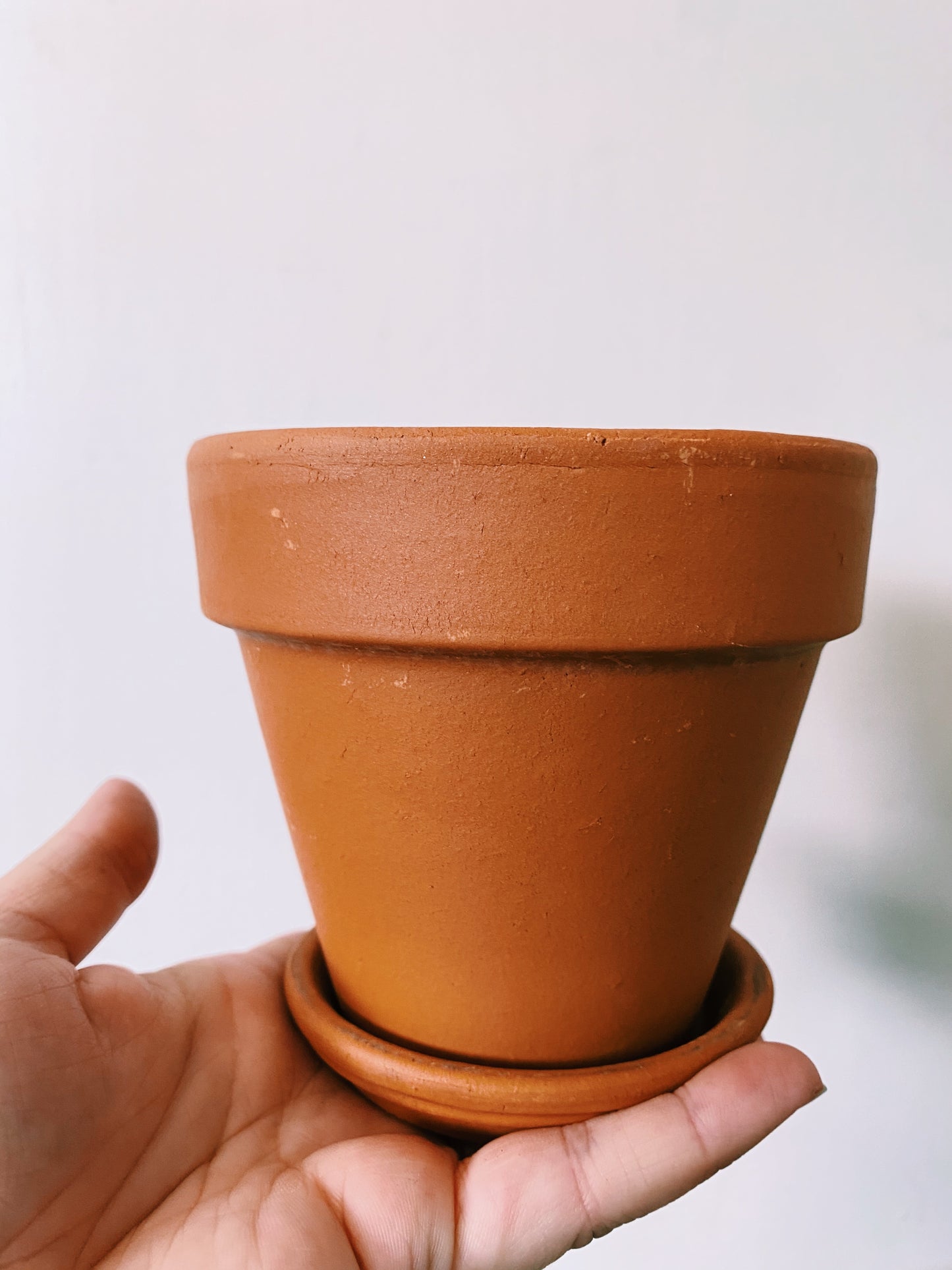 Italian Terracotta - Standard