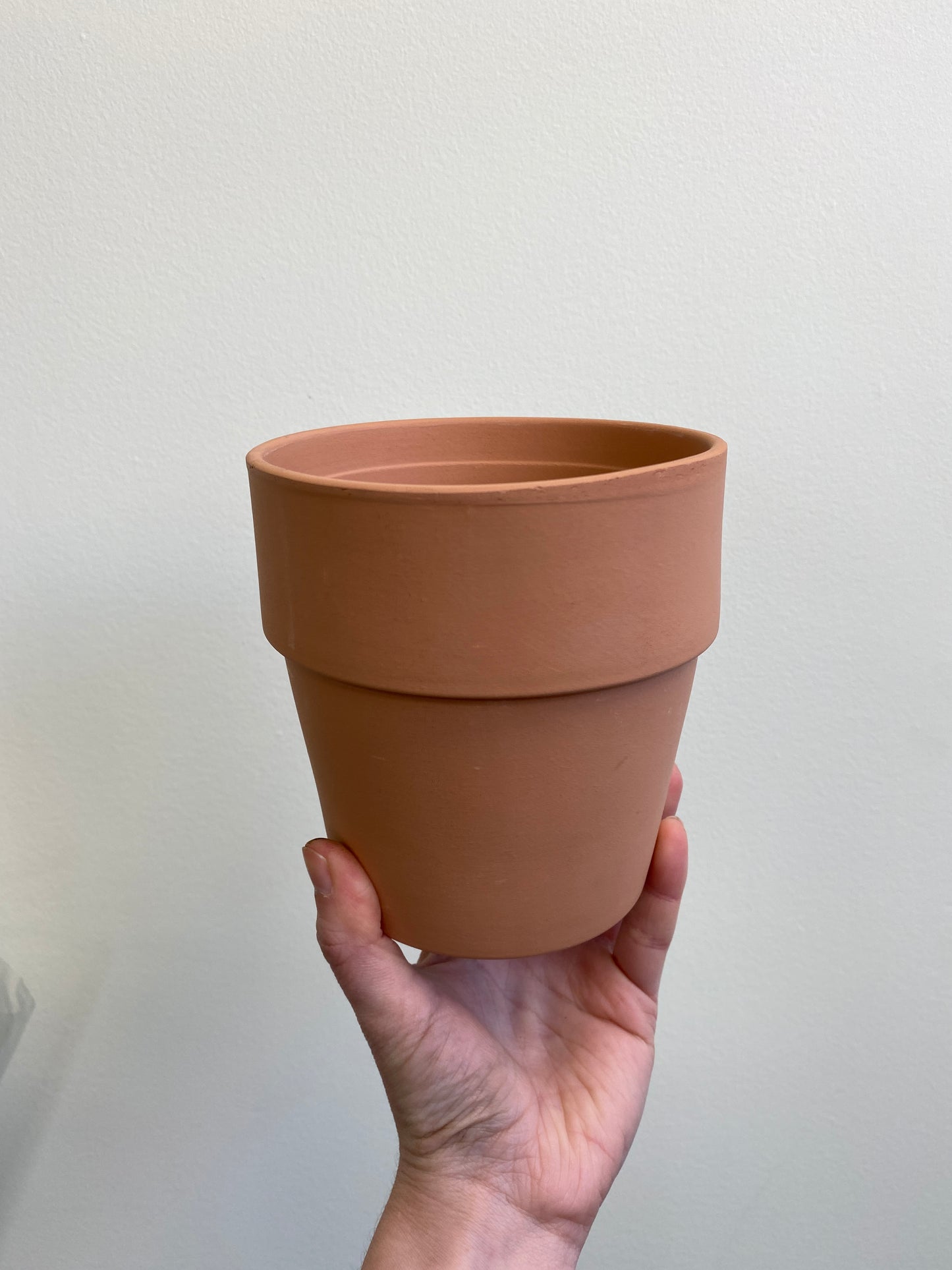 Amy Terracotta
