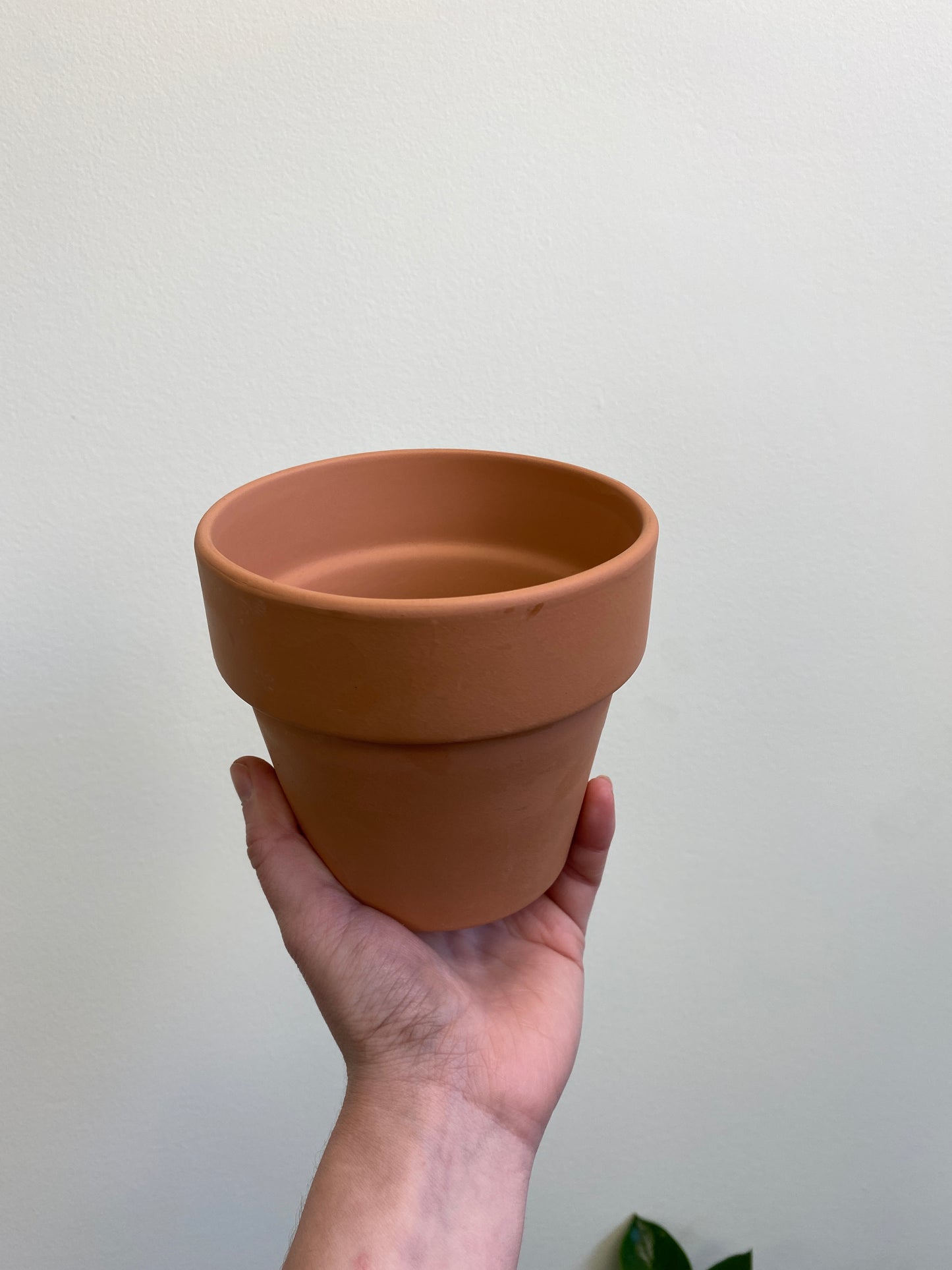 Amy Terracotta
