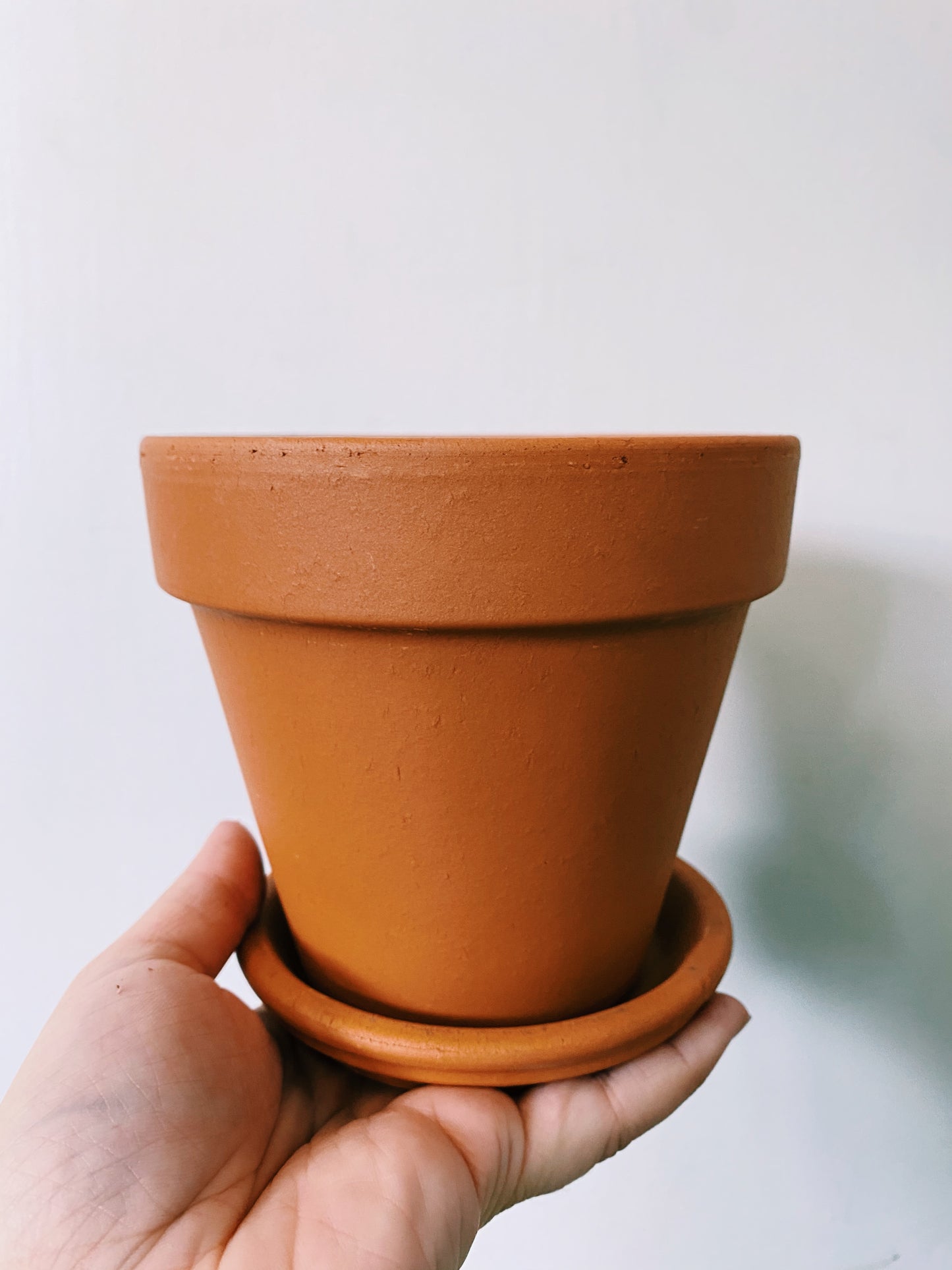 Italian Terracotta - Standard
