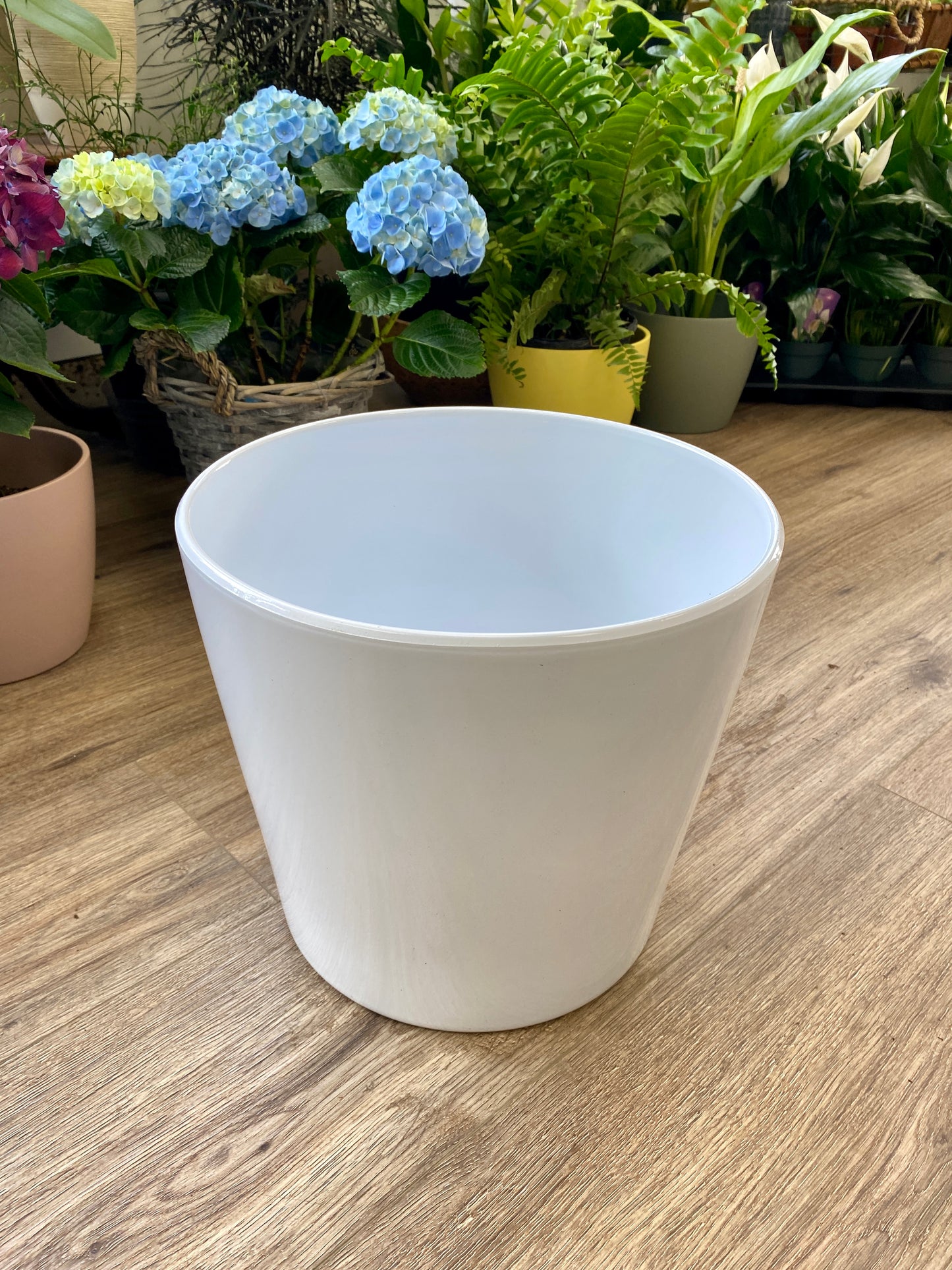 Lina Pot