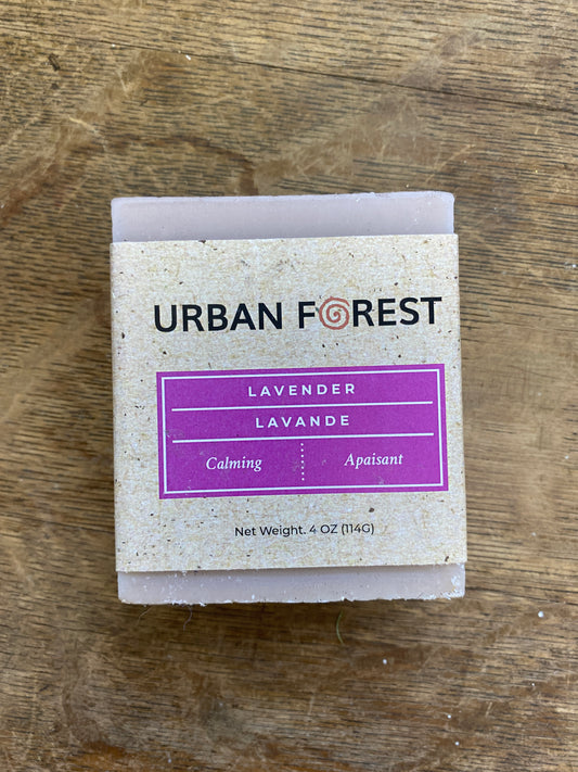 Lavender Natural Hand Soap