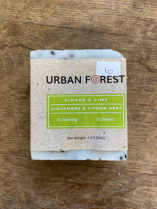 Ginger & Lime Natural Hand Soap