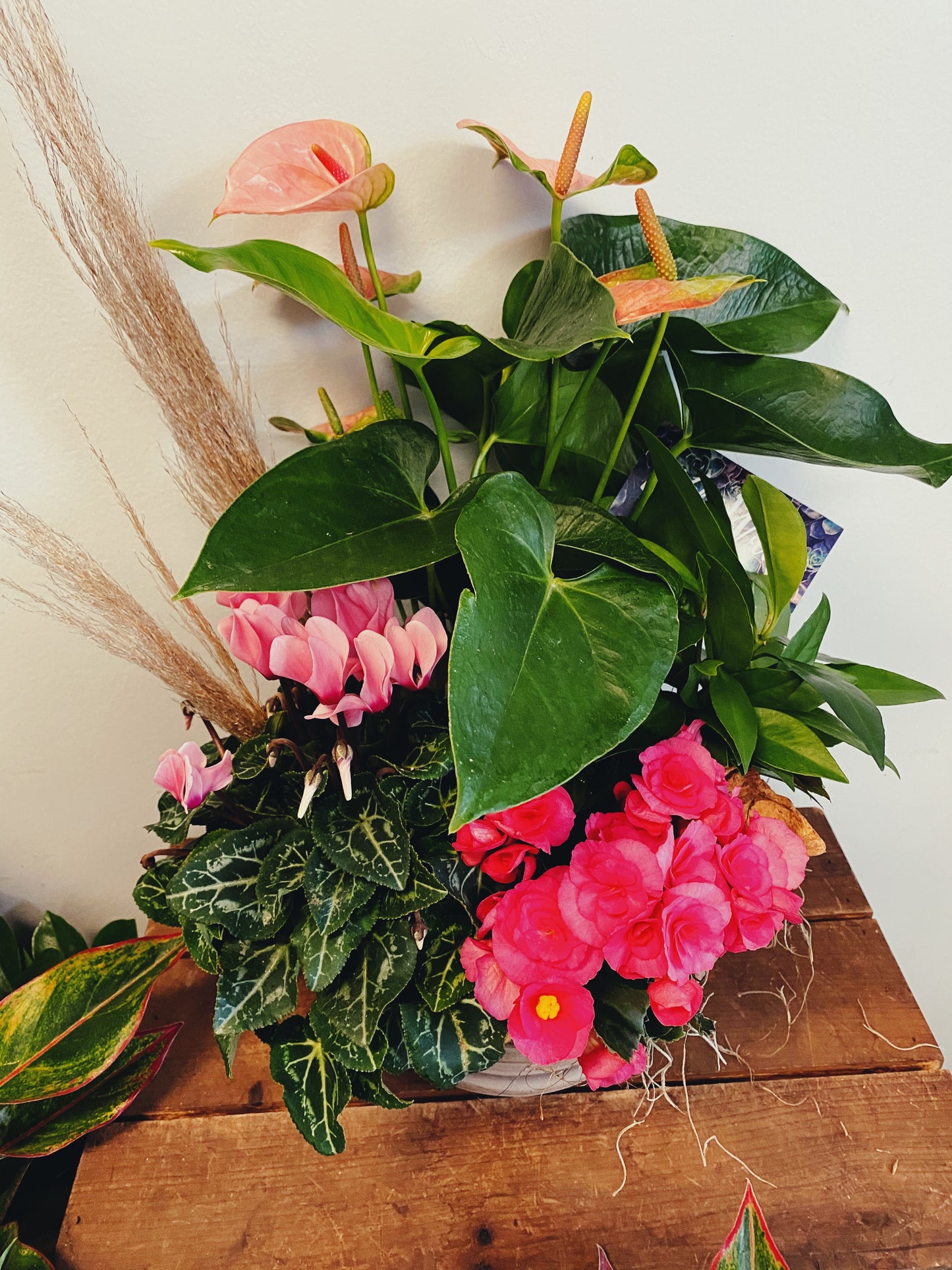 Designer's Choice Blooming Planter