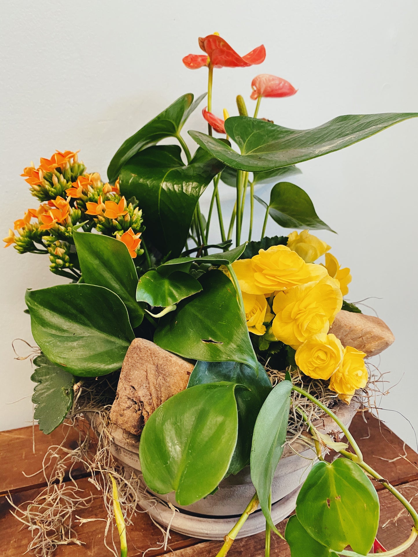 Designer's Choice Blooming Planter