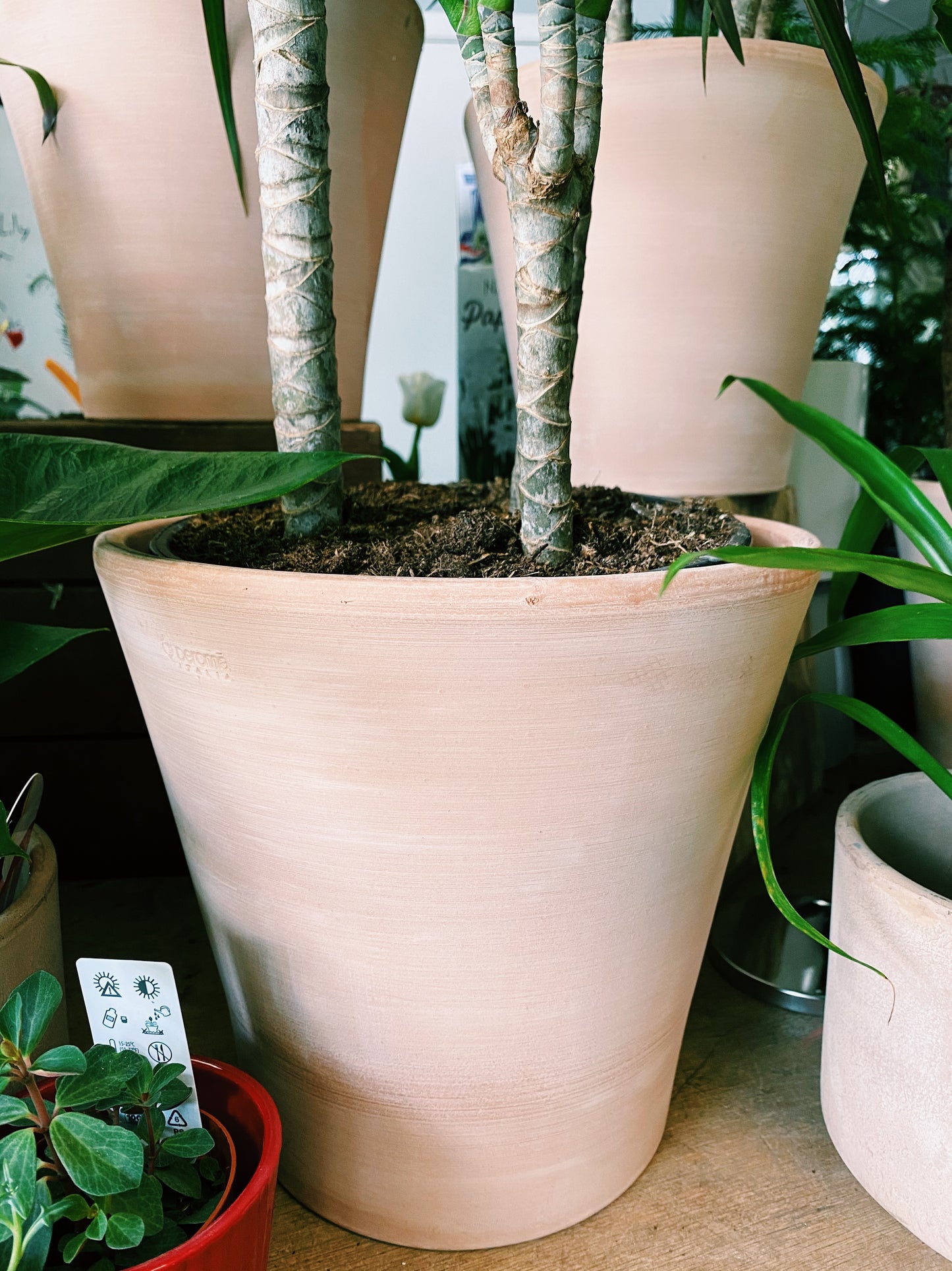 Italian Terracotta - V-shaped, Sand, No tray